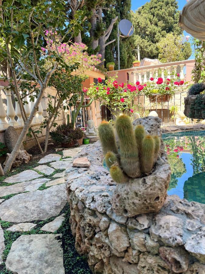 B&B Villa Regina Santa Domenica  Ngoại thất bức ảnh